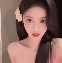 掌上版本使用